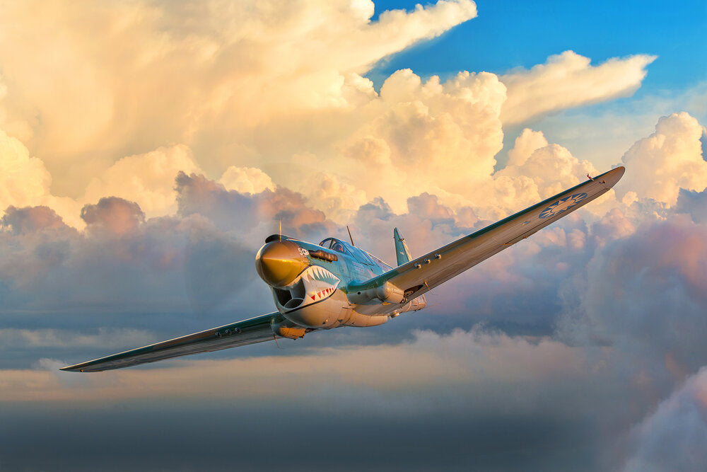 My Bombshells P-40 Warhawk Aviation Fine Art Print