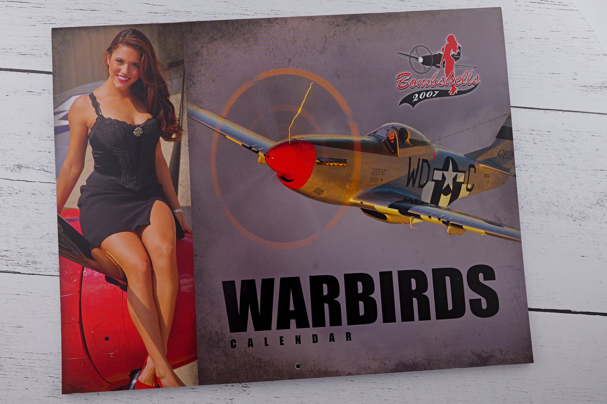 Warbird Pinup Calendar 2025