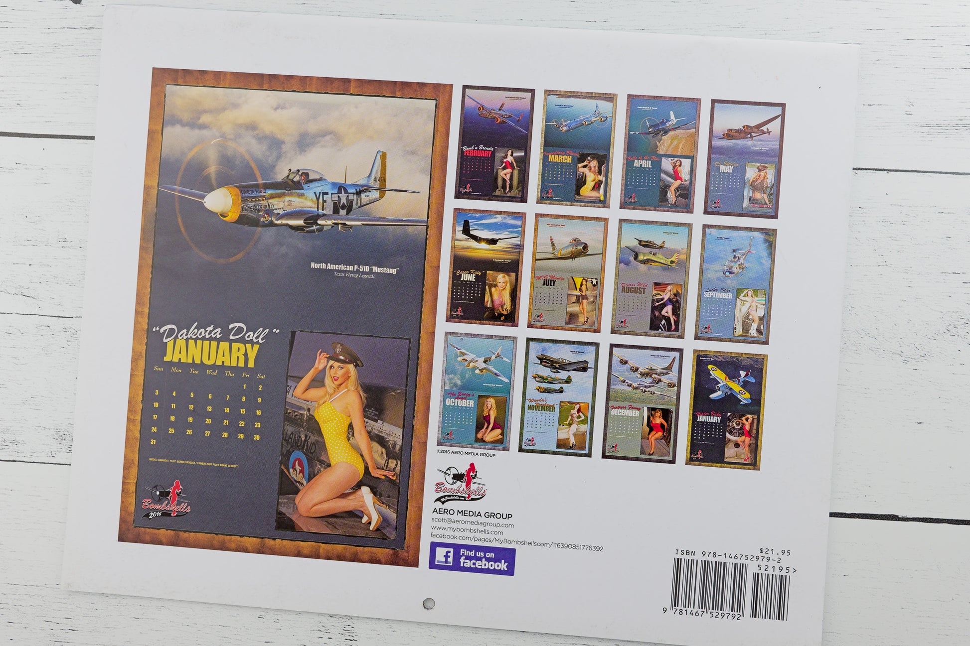 Warbird Pinup Calendar 2025